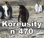 koreusity zapping bonus Koreusity n°470