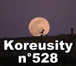 insolite Koreusity n°528