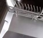 chat chaton Comment fonctionne un lave-vaisselle