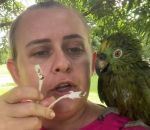 oiseau Une femme essaie de disputer son perroquet