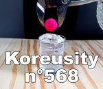 compilation web insolite Koreusity n°568
