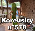 koreusity zap mai Koreusity n°570