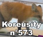 insolite koreusity juin Koreusity n°573