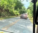 fail Tracter un rouleau compresseur sur la route