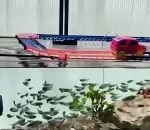 circuit Promener ses poissons