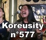 vidéo 2025 compilation insolite koreusity novembre web zap zapping