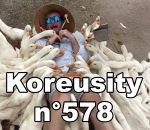 vidéo 2025 compilation insolite koreusity novembre web zap zapping