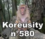 vidéo 2025 compilation insolite koreusity decembre web zap zapping