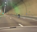 vidéo roue tunnel rouen camion collision libre