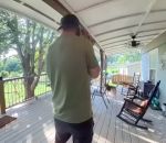 vidéo ecureuil attaque homme chien telephone