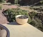 vidéo fontaine chaine physique phenomene bol table