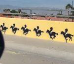 vidéo art animation voiture route cheval pegase oiseau