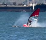 vidéo veliplanchiste planche voile baleine collision