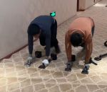 vidéo poser moquette couloir hotel pli tendeur genou